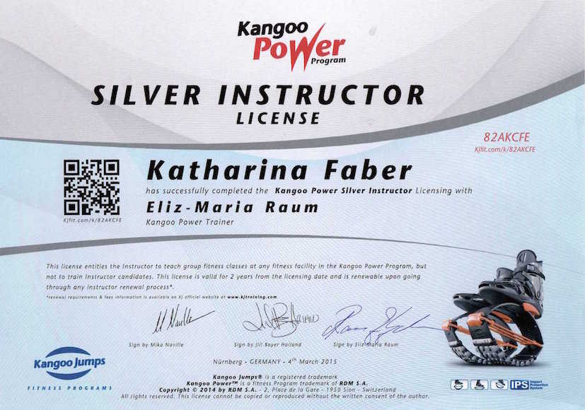 Kangoo Power Silver Instructor